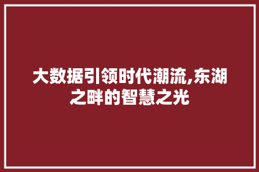 大数据引领时代潮流,东湖之畔的智慧之光