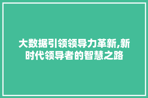 大数据引领领导力革新,新时代领导者的智慧之路