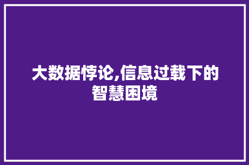 大数据悖论,信息过载下的智慧困境 小程序开发