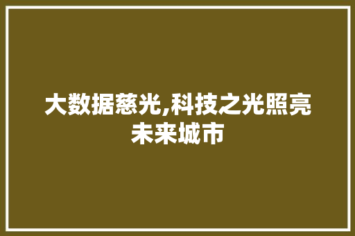 大数据慈光,科技之光照亮未来城市 网站开发