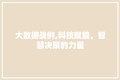 大数据战例,科技赋能，智慧决策的力量 英文谷歌算法