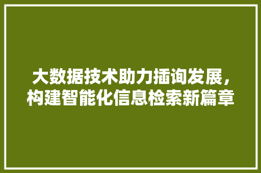大数据技术助力插询发展，构建智能化信息检索新篇章 360搜优化