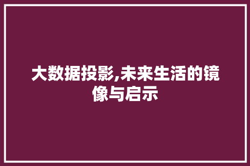 大数据投影,未来生活的镜像与启示 小程序开发
