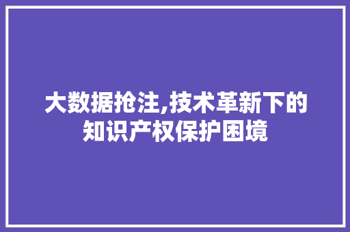 大数据抢注,技术革新下的知识产权保护困境 头条优化