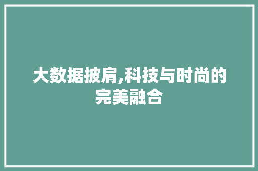 大数据披肩,科技与时尚的完美融合 小程序开发