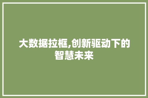 大数据拉框,创新驱动下的智慧未来