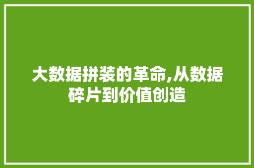 大数据拼装的革命,从数据碎片到价值创造 AI技术学习