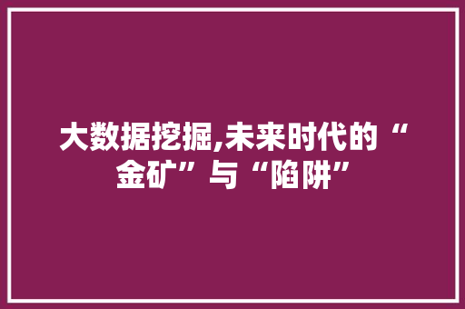 大数据挖掘,未来时代的“金矿”与“陷阱”