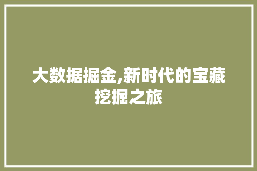 大数据掘金,新时代的宝藏挖掘之旅 AI技术学习