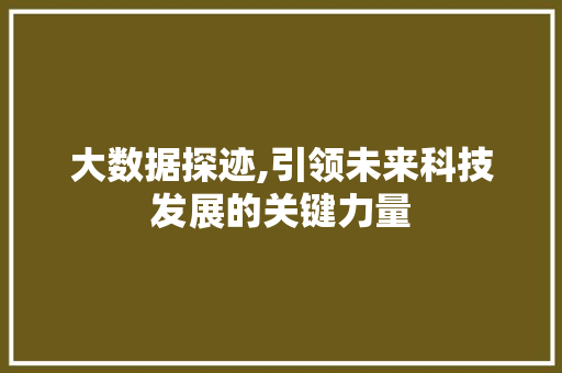 大数据探迹,引领未来科技发展的关键力量 AI技术学习