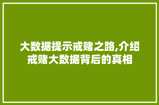 大数据提示戒赌之路,介绍戒赌大数据背后的真相 网站优化