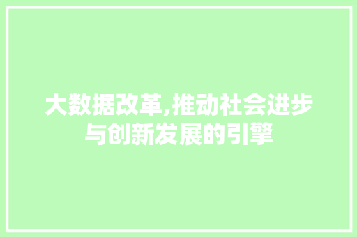 大数据改革,推动社会进步与创新发展的引擎