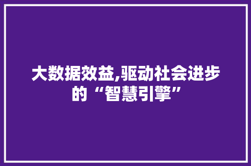 大数据效益,驱动社会进步的“智慧引擎”