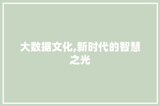 大数据文化,新时代的智慧之光