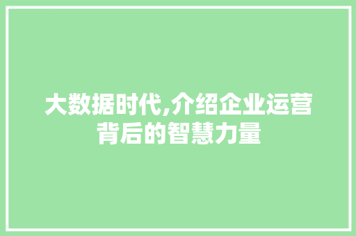 大数据时代,介绍企业运营背后的智慧力量