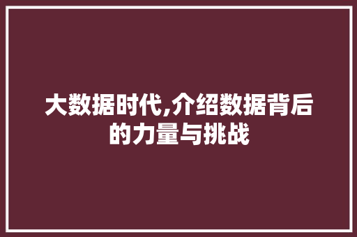 大数据时代,介绍数据背后的力量与挑战