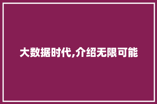大数据时代,介绍无限可能