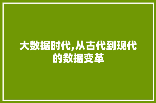 大数据时代,从古代到现代的数据变革