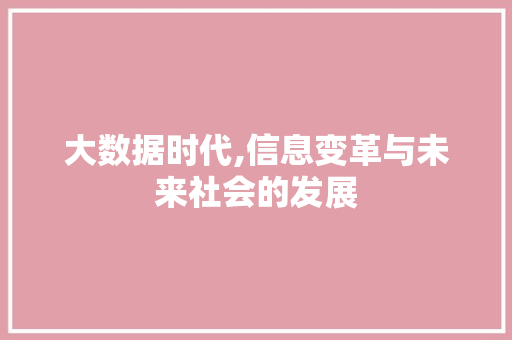 大数据时代,信息变革与未来社会的发展