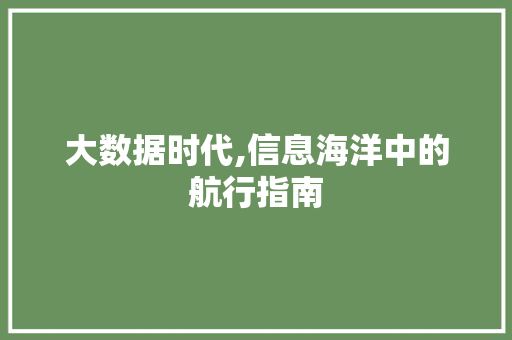 大数据时代,信息海洋中的航行指南