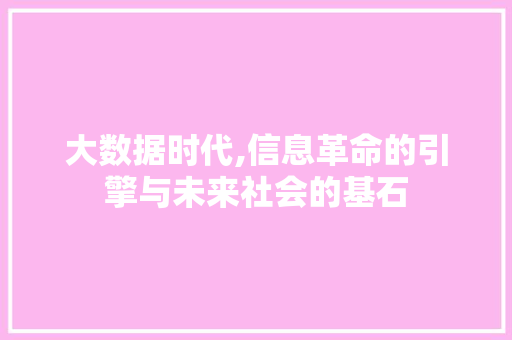 大数据时代,信息革命的引擎与未来社会的基石