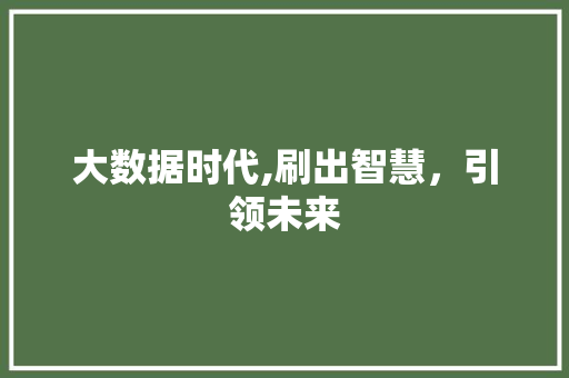 大数据时代,刷出智慧，引领未来