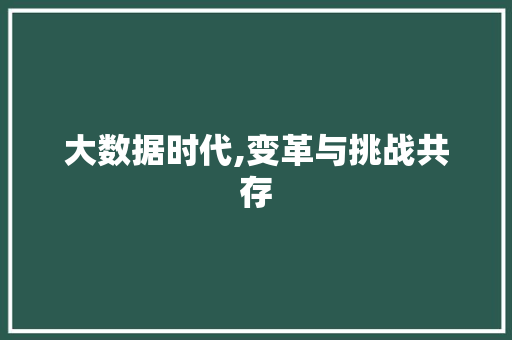 大数据时代,变革与挑战共存