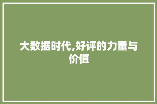 大数据时代,好评的力量与价值 360搜优化