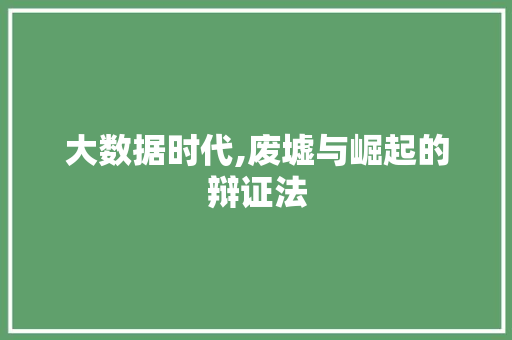 大数据时代,废墟与崛起的辩证法 seo技术