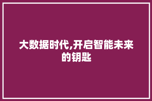 大数据时代,开启智能未来的钥匙 网站优化