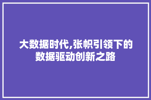 大数据时代,张帜引领下的数据驱动创新之路 网站开发