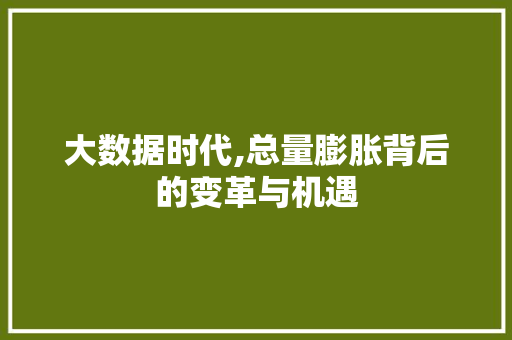 大数据时代,总量膨胀背后的变革与机遇 网站开发