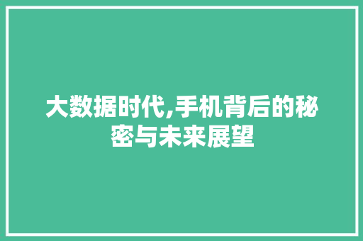 大数据时代,手机背后的秘密与未来展望 seo技术