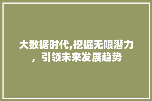 大数据时代,挖掘无限潜力，引领未来发展趋势