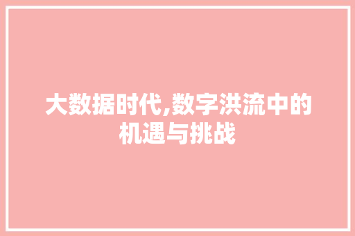 大数据时代,数字洪流中的机遇与挑战