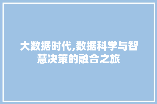 大数据时代,数据科学与智慧决策的融合之旅