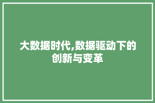 大数据时代,数据驱动下的创新与变革