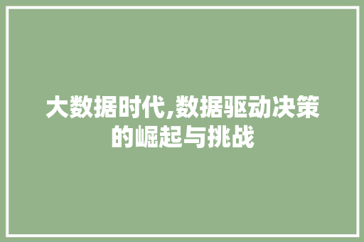 大数据时代,数据驱动决策的崛起与挑战