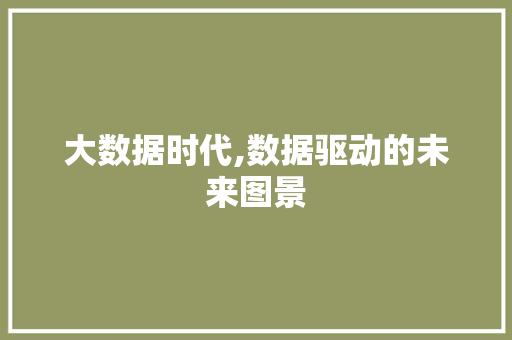 大数据时代,数据驱动的未来图景