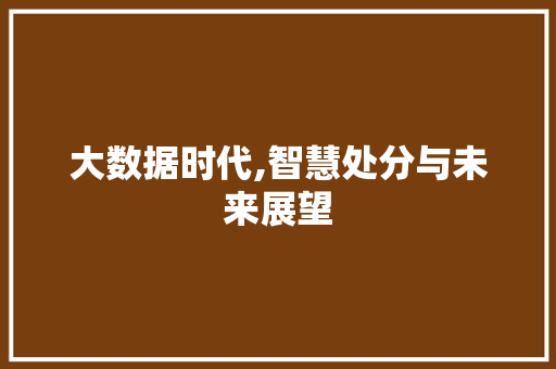 大数据时代,智慧处分与未来展望 头条优化