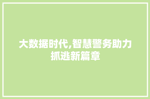 大数据时代,智慧警务助力抓逃新篇章 seo技术