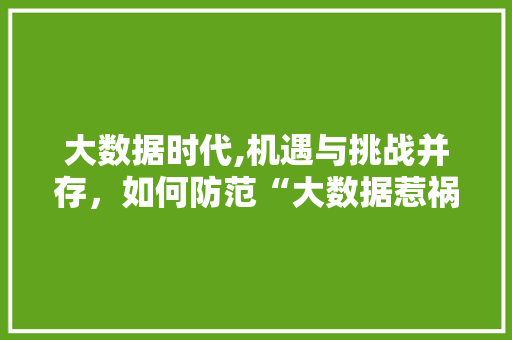 大数据时代,机遇与挑战并存，如何防范“大数据惹祸”