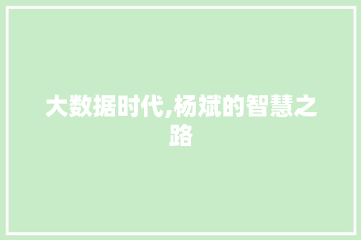 大数据时代,杨斌的智慧之路 小程序开发