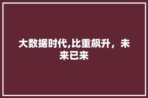 大数据时代,比重飙升，未来已来 网站开发