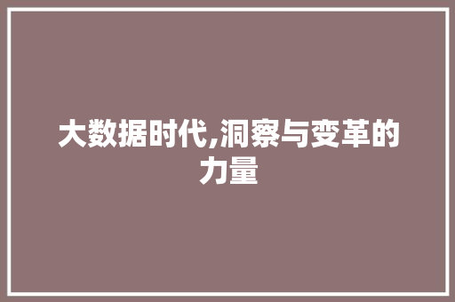 大数据时代,洞察与变革的力量 360搜优化