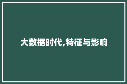 大数据时代,特征与影响 网站优化