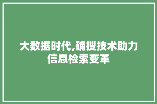 大数据时代,确搜技术助力信息检索变革