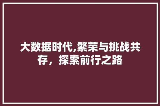 大数据时代,繁荣与挑战共存，探索前行之路 网站开发