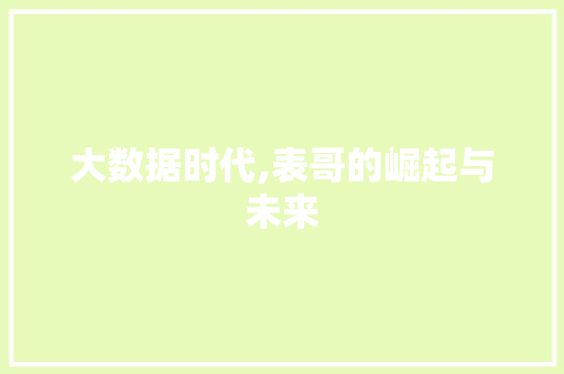 大数据时代,表哥的崛起与未来