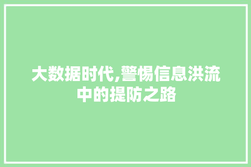 大数据时代,警惕信息洪流中的提防之路 360搜优化